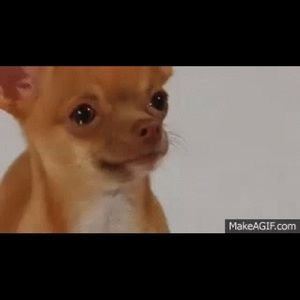 Meet your Posher, Christian